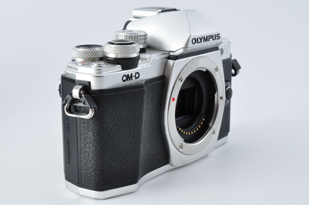 《 S数2210回！ 》OLYMPUS OM-D E-M10 II ボディ