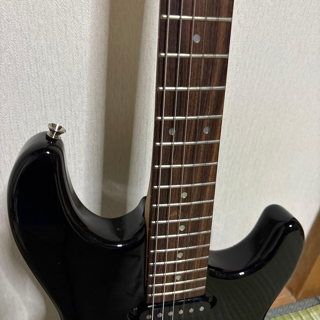 フェルナンデス エレキギター 楽器 弦 ストラップ ギター バンド 音楽