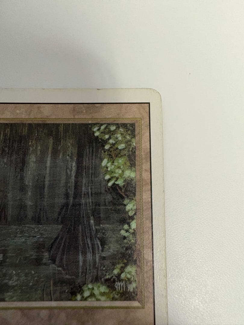 マジック：ザ・ギャザリング Bayou poor