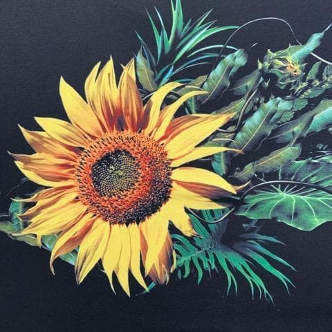 REVERSAL リバーサル ひまわり柄 ドライショーツ ショートパンツ 黒XL