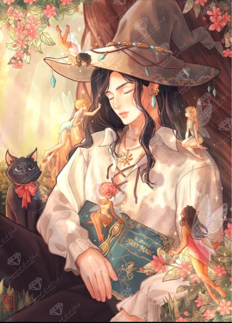 お値下げ　ダイヤモンドアートクラブ　handsome wizard