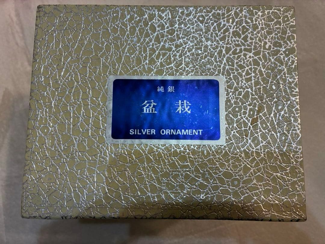 純銀製 光則作 盆栽 特小号「松」ガラスケース・紙箱付き - メルカリ