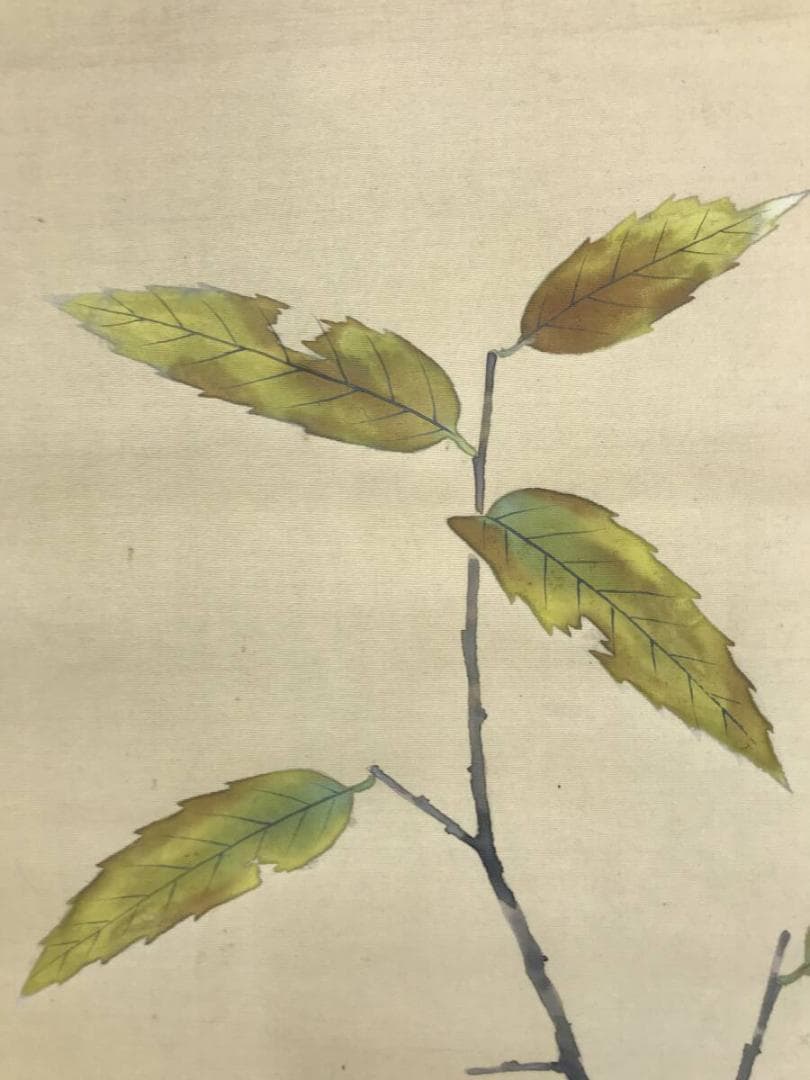 真作/省三/花鳥図/栗にキツツキ図/掛軸/名家伝来/AH-788