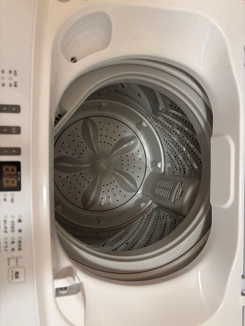 ハイセンス 洗濯機 5.5kg 一人暮らし カップル 新生活