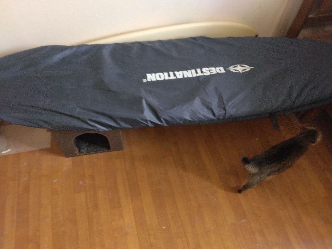 チャンネルアイランド　ミッドレングス　宮崎県内手渡し希望 Ken