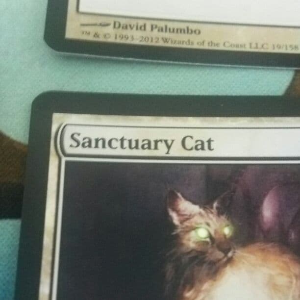 聖所の猫 英語版 foil ４枚セット