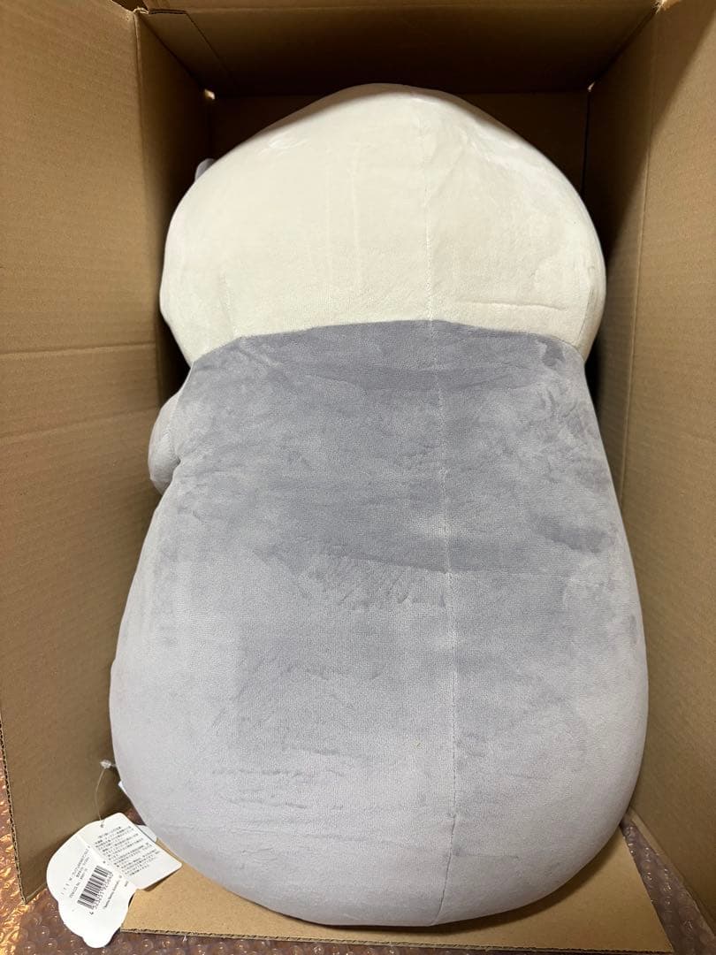 カワウソ ぬいぐるみ 河田陽菜 日向坂46 - メルカリ