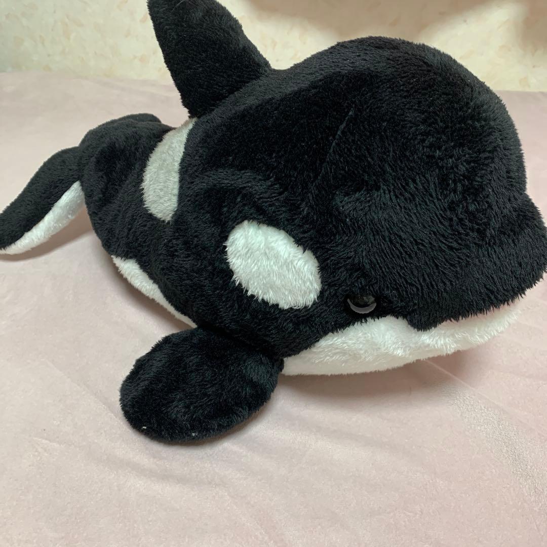 鴨川シーワールド シャチくじのぬいぐるみ 約30cm 3等 - メルカリ