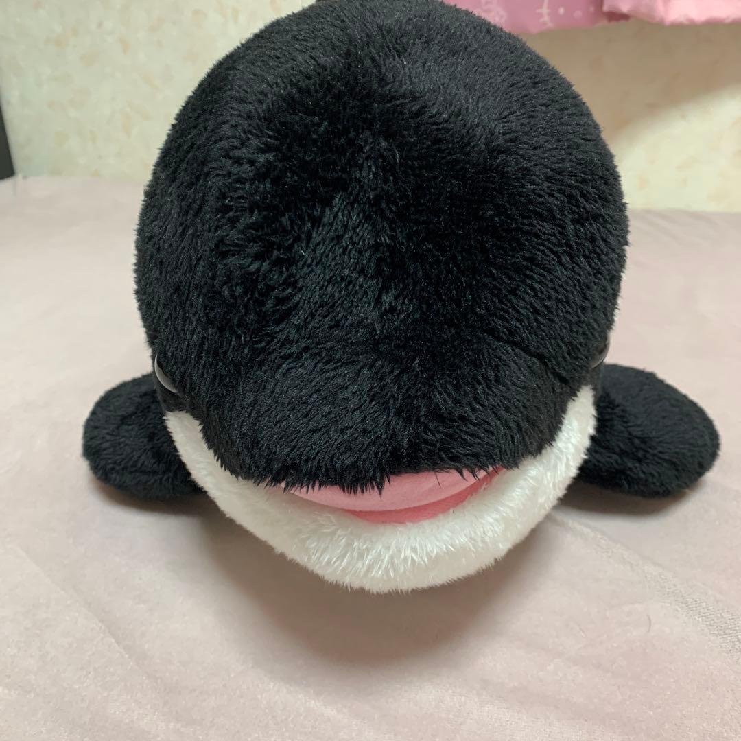 鴨川シーワールド シャチくじのぬいぐるみ 約30cm 3等 - メルカリ