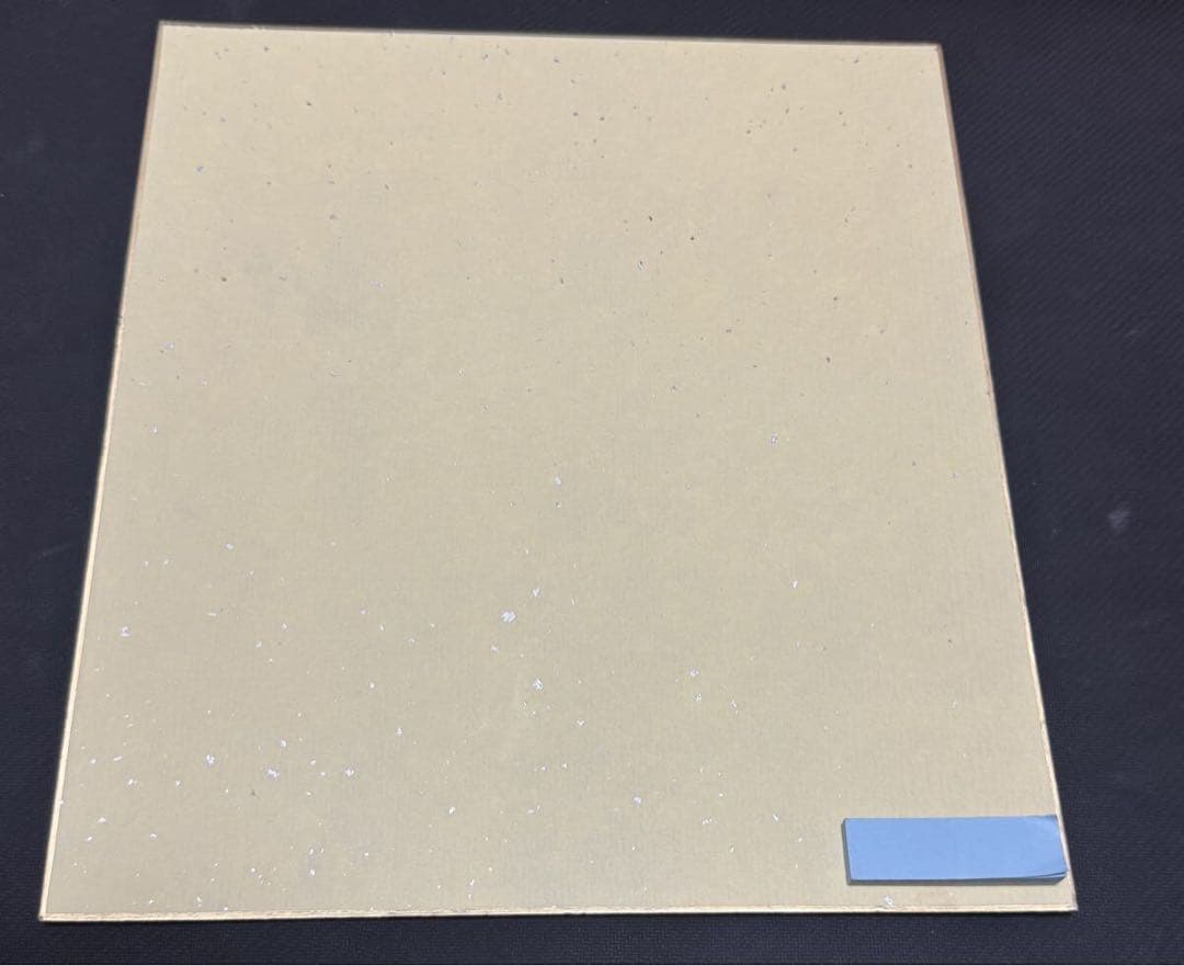 テックジャイアン 15周年 シークレットゲーム 阿刀田 初音 己即是空 直筆色紙