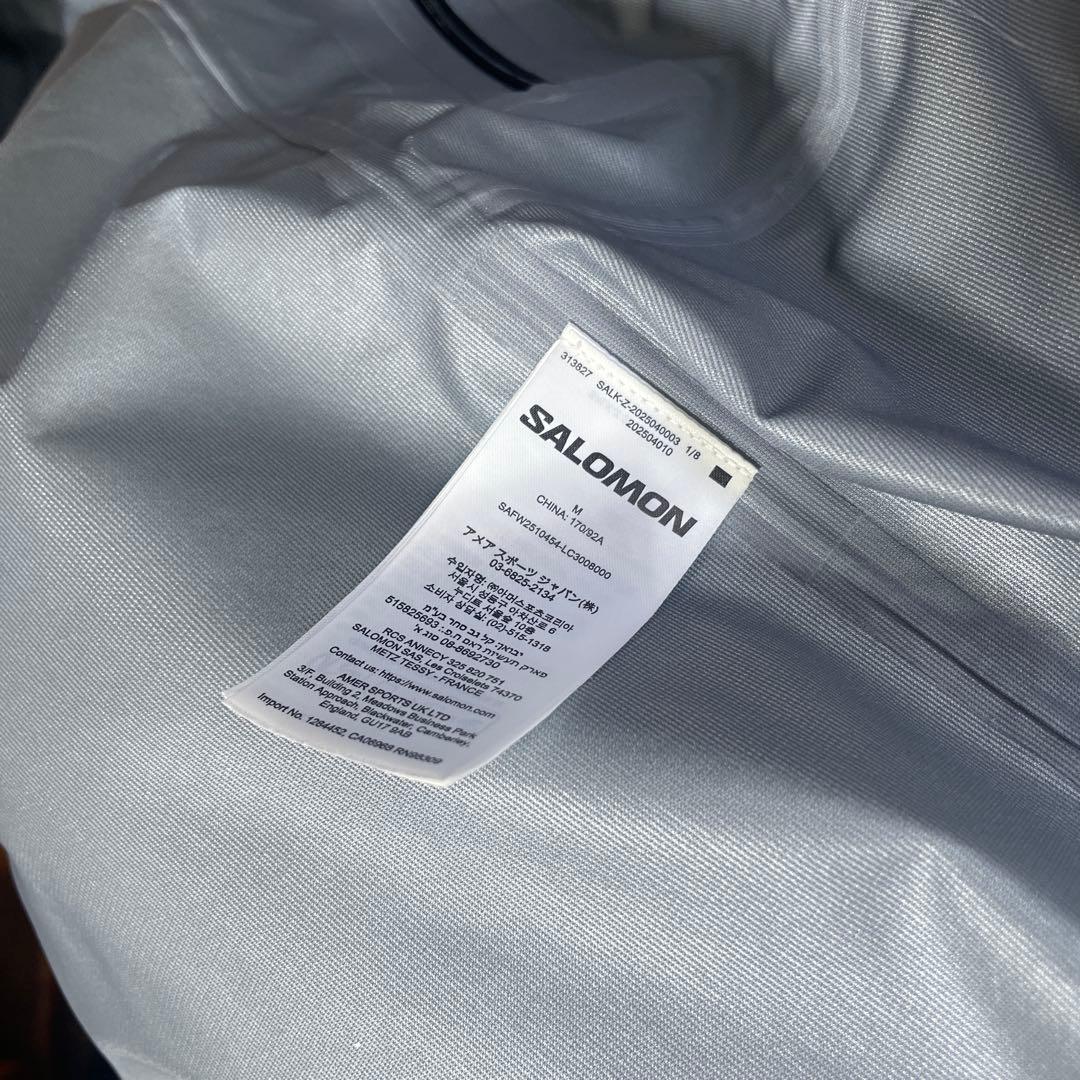 Salomon 韓国限定 goretex マウンテンパーカー