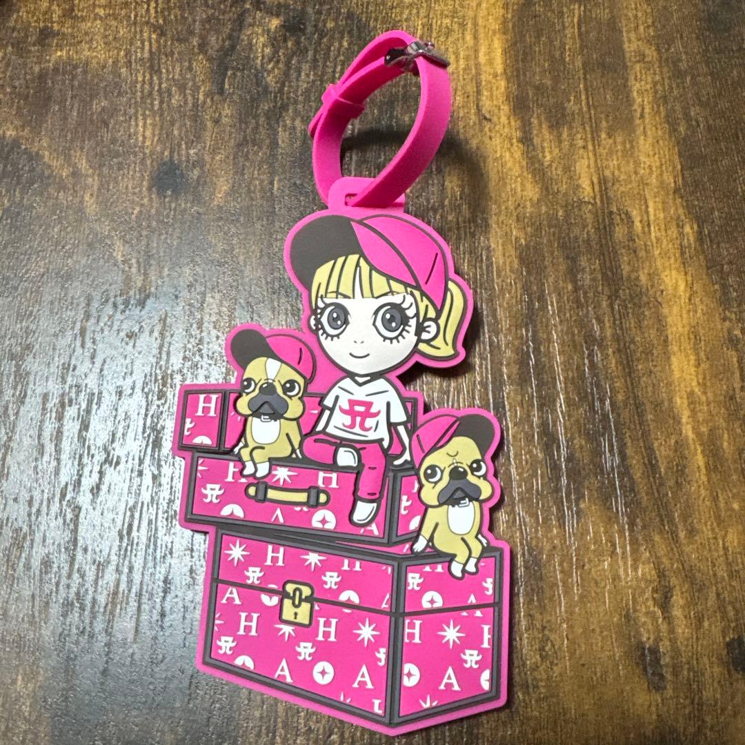 浜崎あゆみ ラゲッジタグ　8個セット