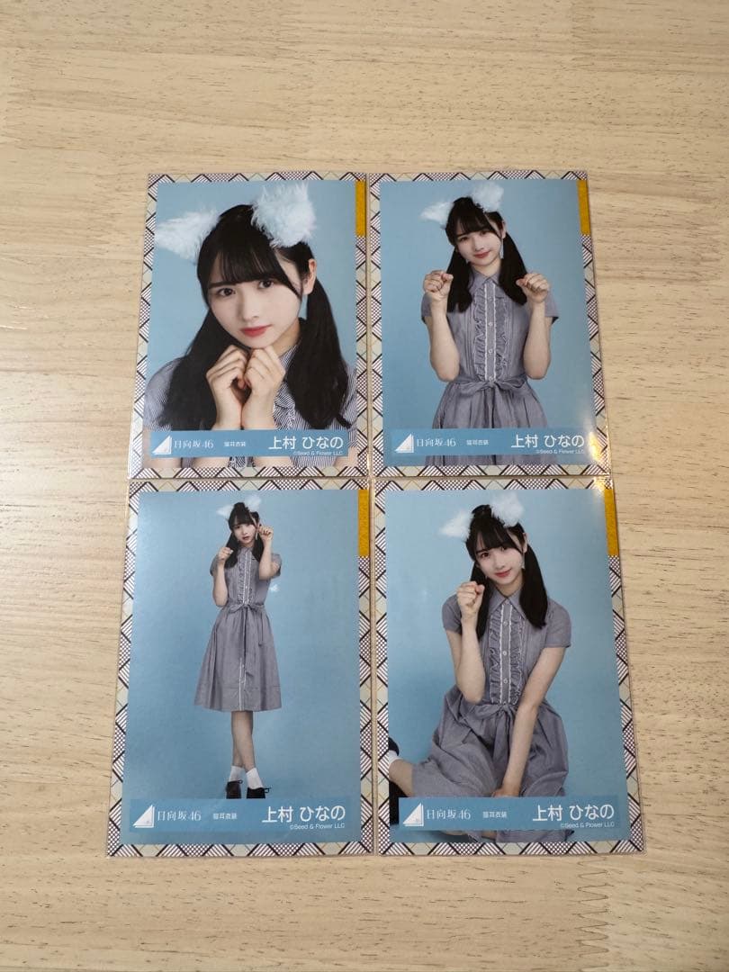 上村ひなの 猫耳衣装 4枚コンプ 日向坂46 生写真 - メルカリ