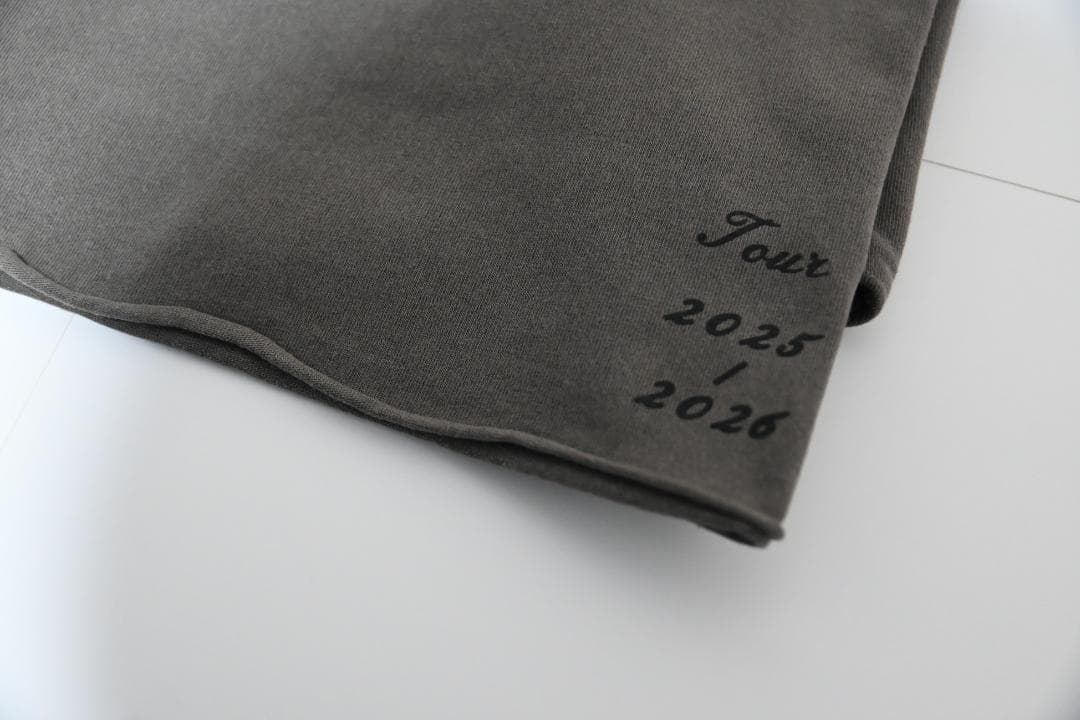 【Lサイズ】レディー・ガガ ライブTシャツ MAYHEM BALL