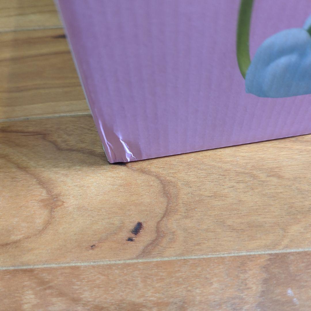 一番くじドラゴンボール スナップコレクション ラストワン孫悟飯（幼年期）