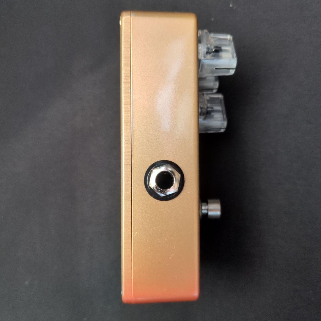 ギター Vivie FenneComp