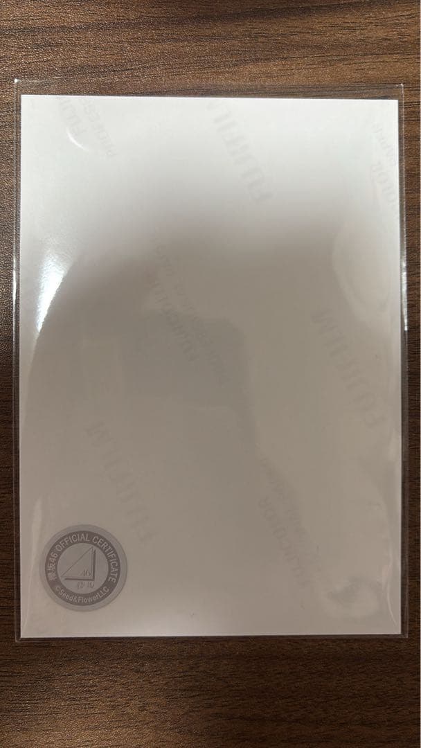 櫻坂46 石森璃花　2025年サンタ衣装　直筆サイン入り生写真