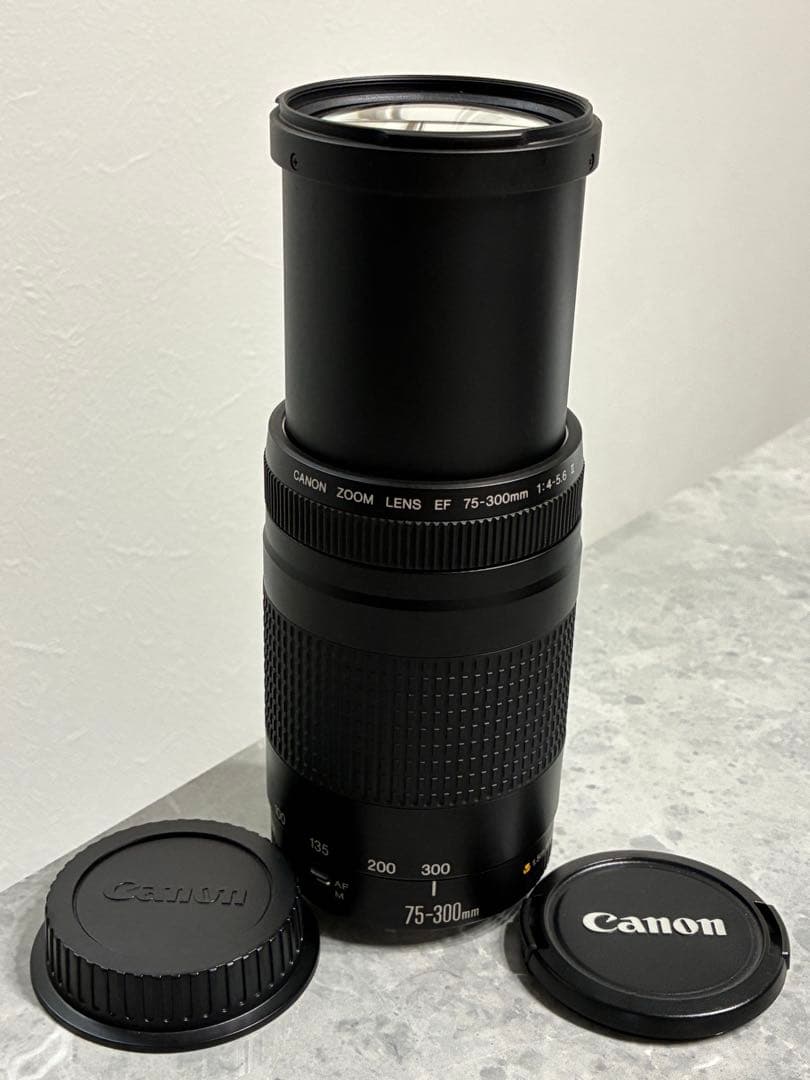 ⭐️美品⭐️キャノン Canon EF 75-300mm F/4-5.6 II 望遠