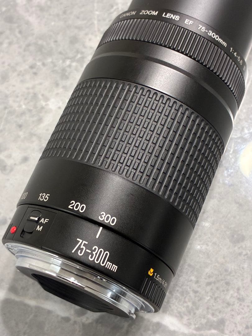 ⭐️美品⭐️キャノン Canon EF 75-300mm F/4-5.6 II 望遠