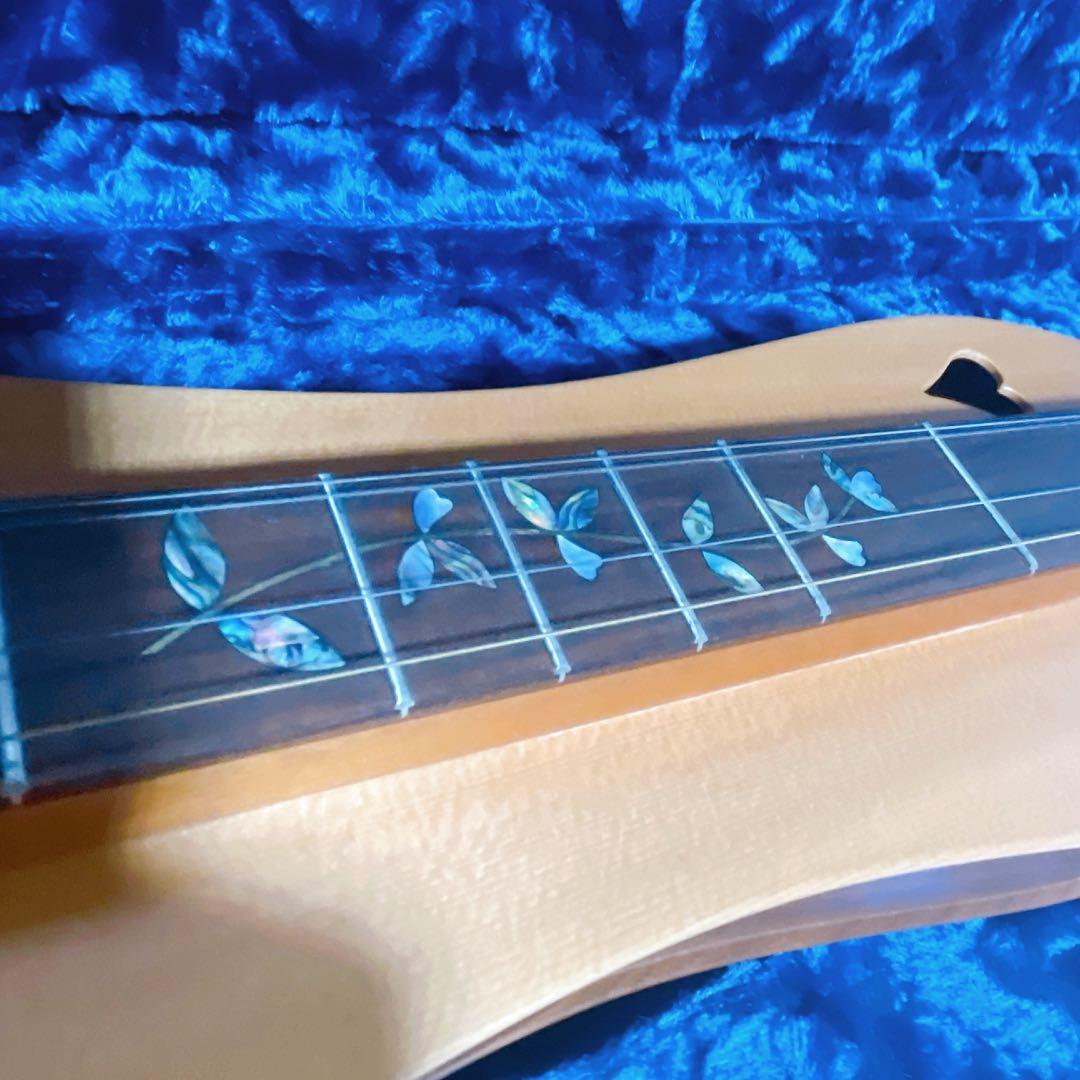 美品】BLUE LION マウンテンダルシマー JRW ハードケース付き - メルカリ