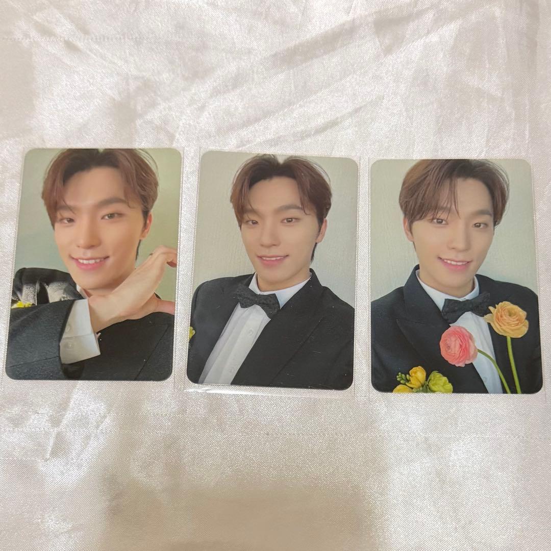 バラ売り専用】ディノ DINO SEVENTEENまとめ売り セブチ - メルカリ