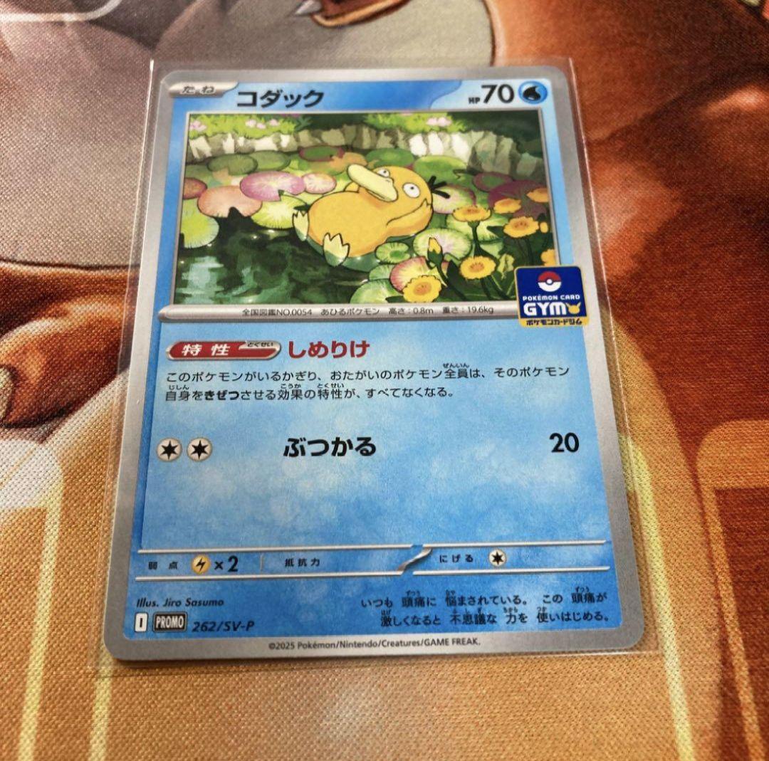 未使用美品】コダック(PROMO 262/SV-P) しめりけ HP70 - メルカリ