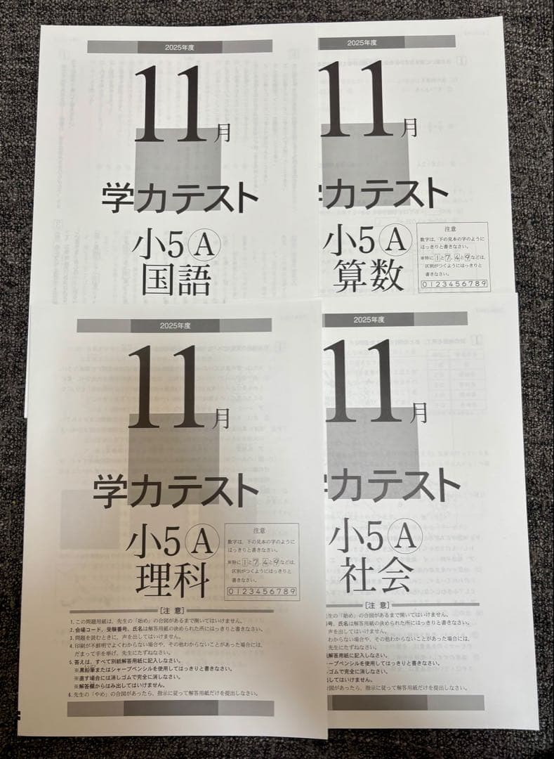 最新版】2025年度11月号 小5 学力テスト育伸社 - メルカリ