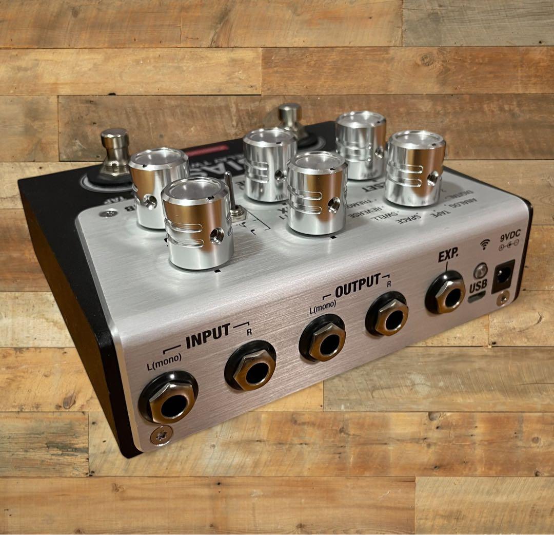 (美品) Positive Grid BIAS Delay Twin ディレイ