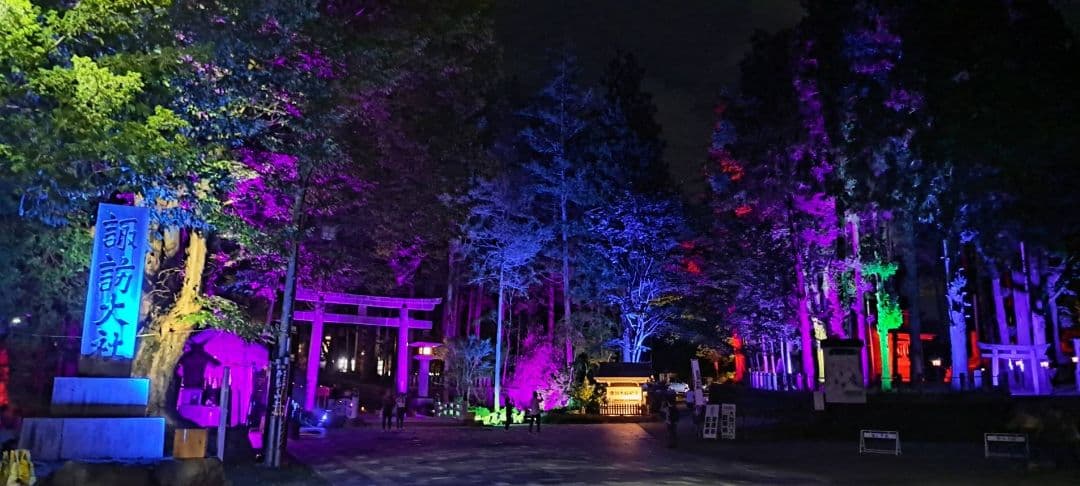 諏訪大社 秋宮限定 短期間数量限定8月8日 夏詣御朱印セミコンプリート9