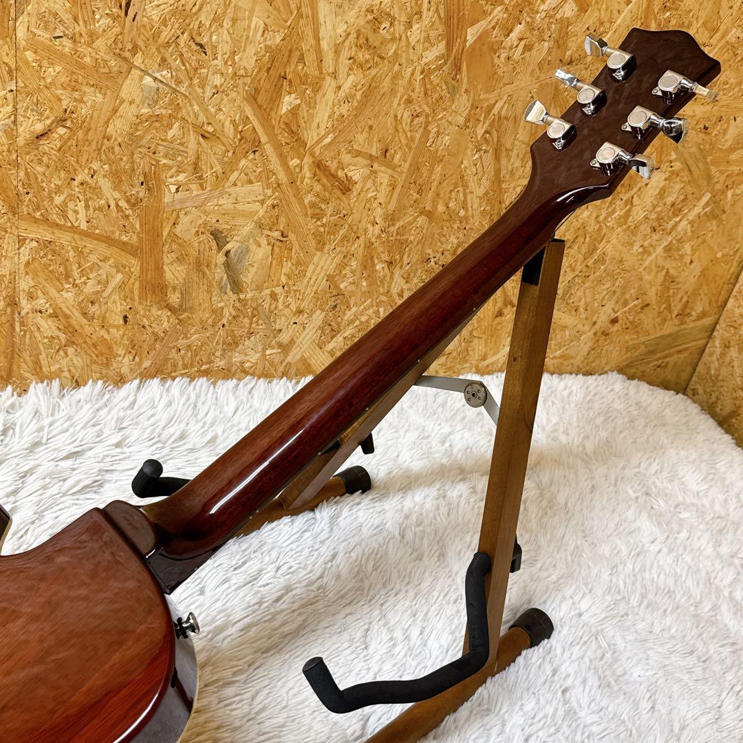 Playtech/プレイテック LP-500 Premium ホロウボディP90