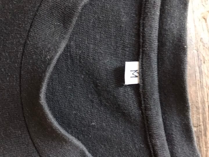 氣志團　レア Tシャツ　インディーズ