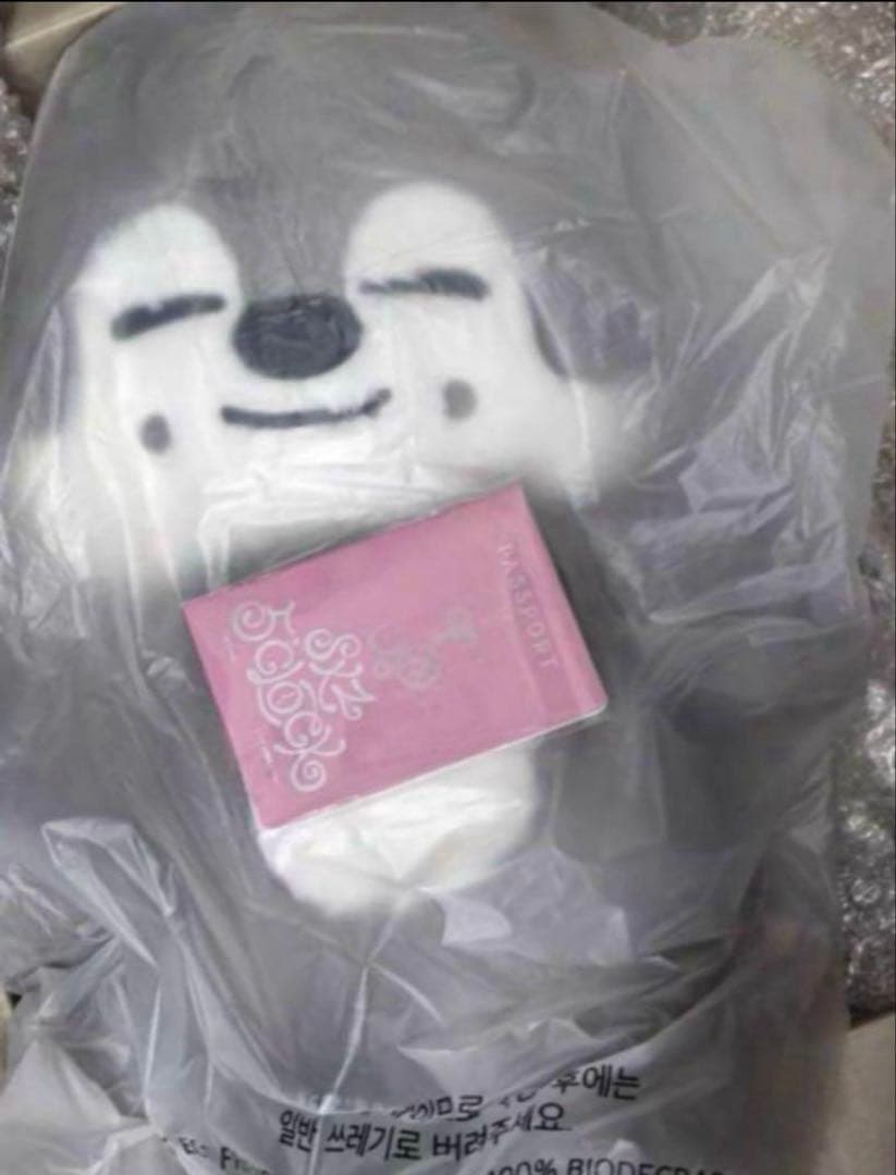 straykids スキズ テディベア SKZOO ウルフチャン　teddy