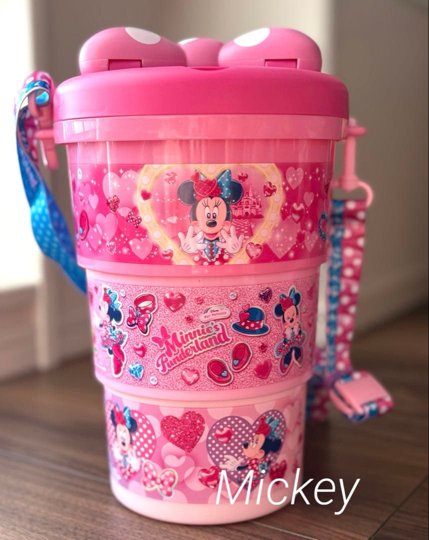 ミニーのファンダーランド　パルパルーザ　ポップコーンバケット　ミニパル