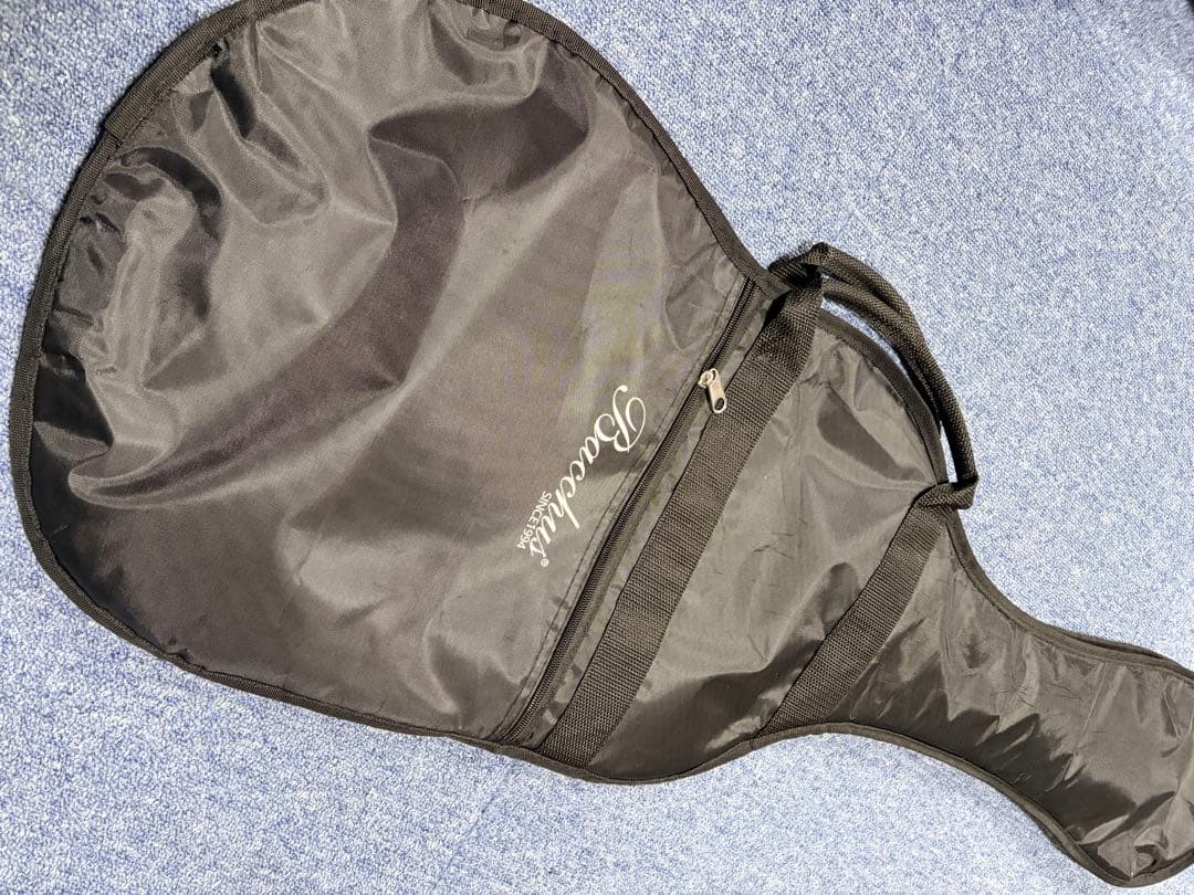 Burny / レスポールカスタム タイプ