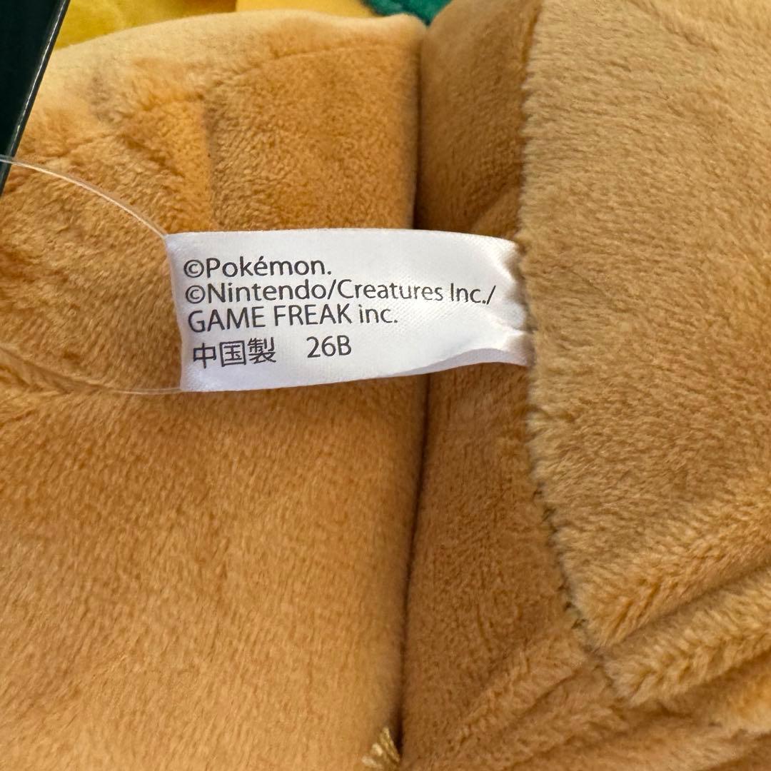 ポケパークカントー ピカチュウ イーブイ ぬいぐるみ 大