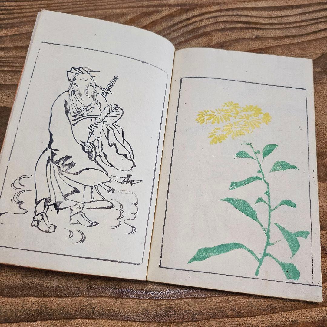 to9386 和本 讃料画図 蕙斎麁画 四編 絵手本 彩色