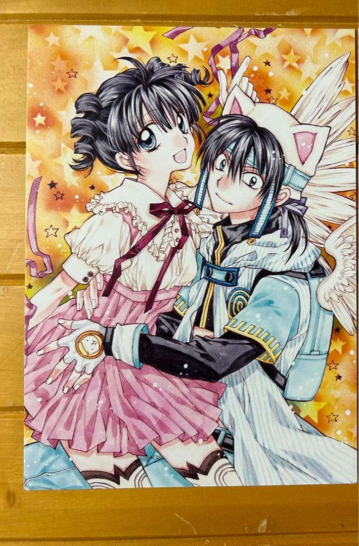 ☆満月をさがして☆種村有菜 同人誌 2冊セット ポストカード付き めろ