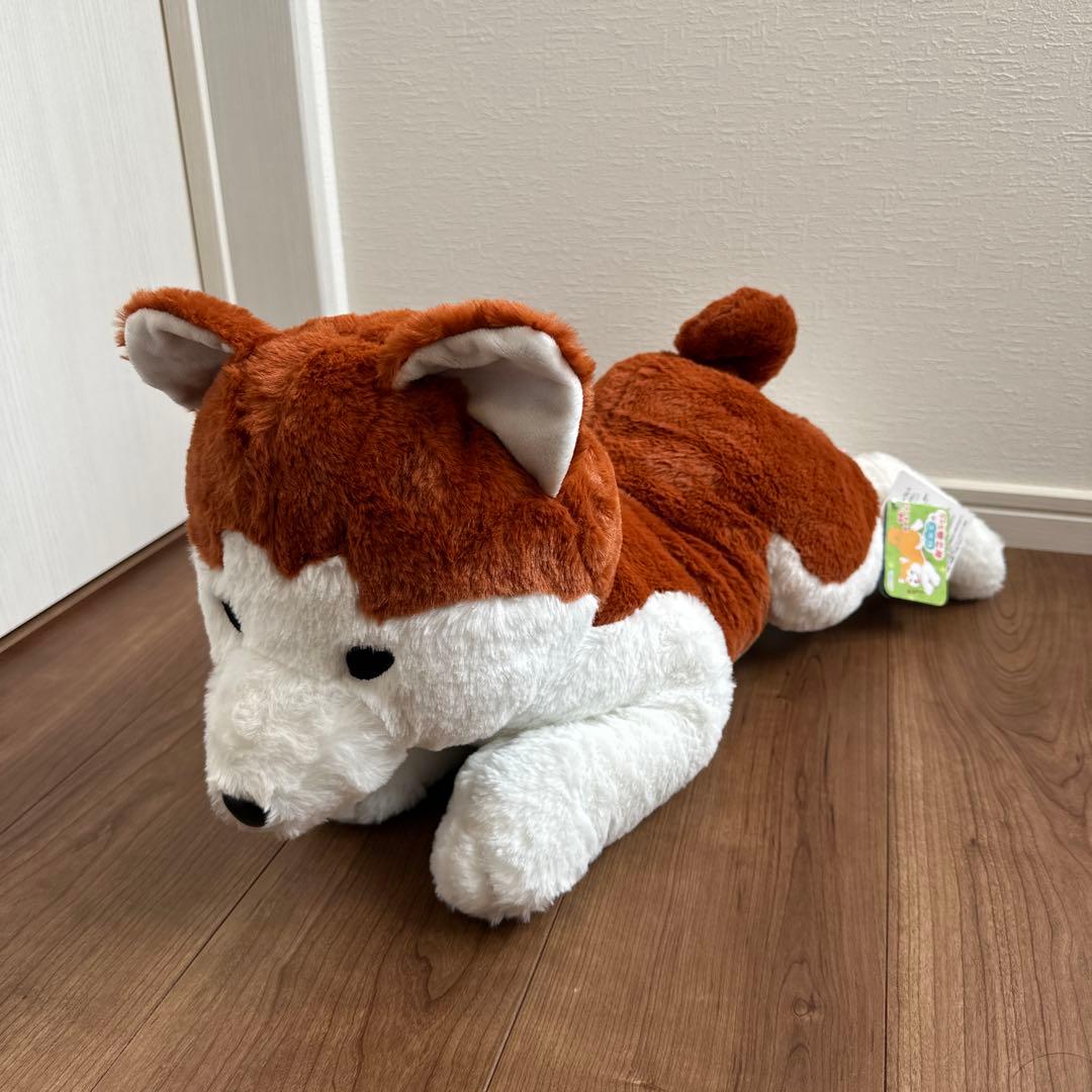 動物 犬 テディベア クマ タヌキ たぬき まとめ売り 8点