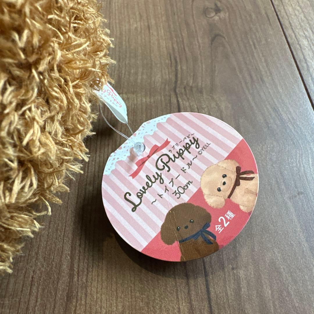 動物 犬 テディベア クマ タヌキ たぬき まとめ売り 8点