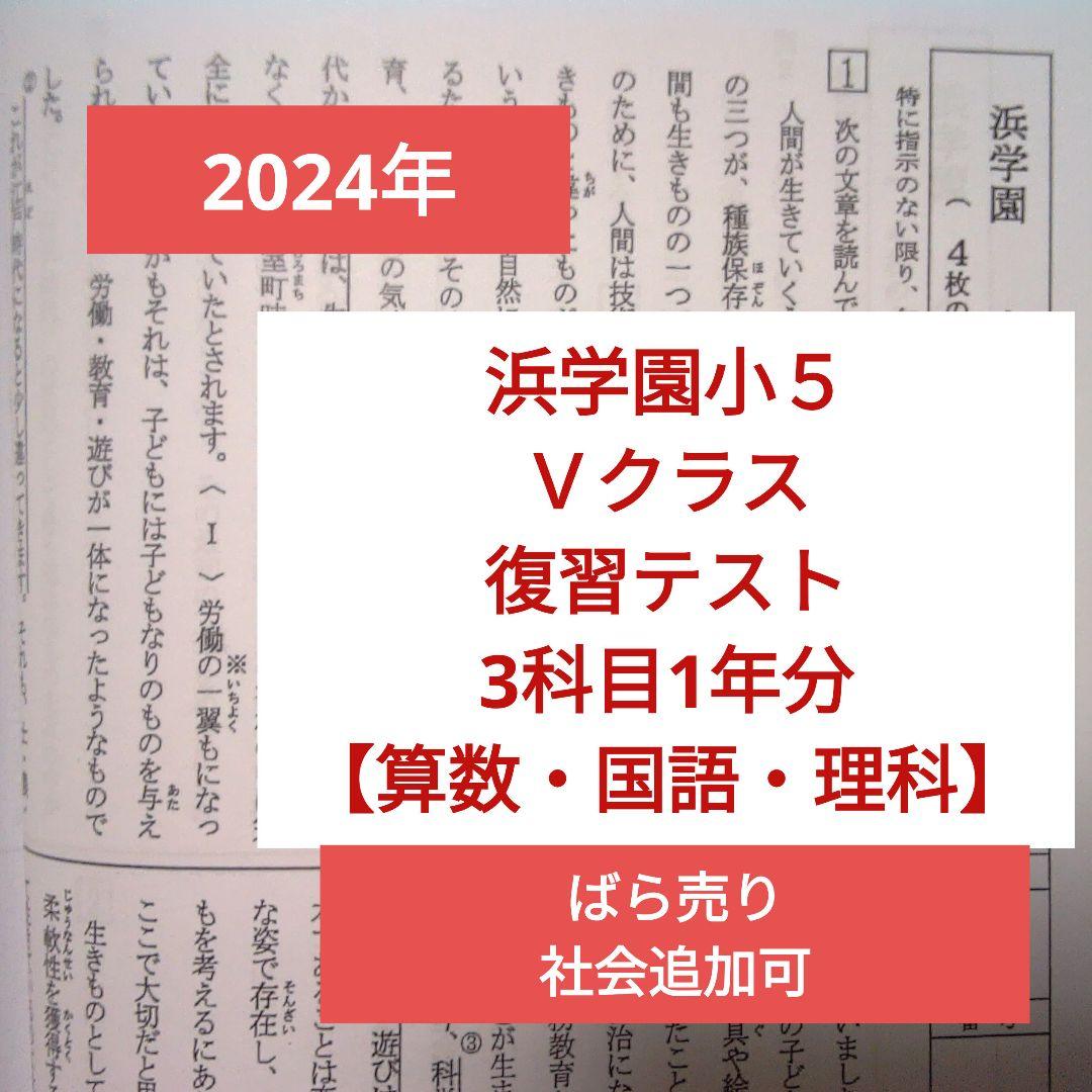 2024年 浜学園 小5 Ｖクラス 3科目1年分 復習テスト 算国理 2024年】浜学園小6 Sクラス 3科目 1年分 復習テスト 算国理l - メルカリ