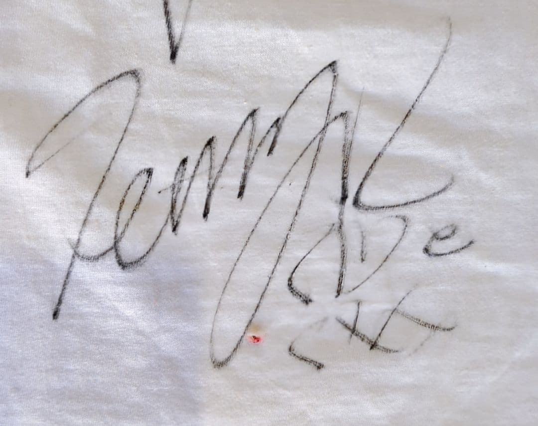 [一点物] Duck Tails 直筆サインTシャツ 横山剣さん在籍期の物