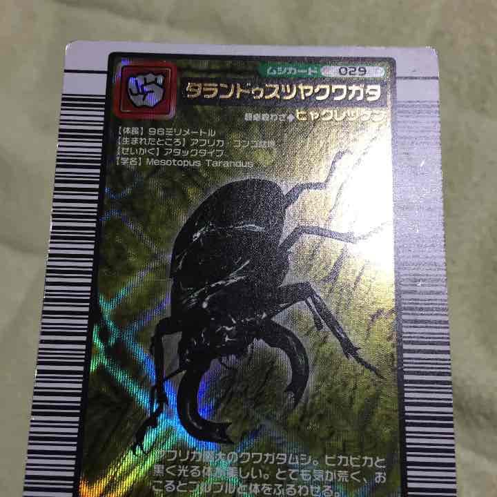 訳アリ確認用。タランドゥス