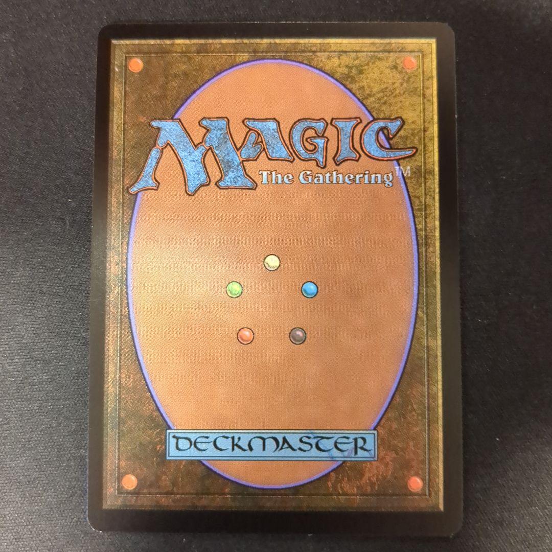 MTG 樹木茂る山麓 EXP 英語版 Foil