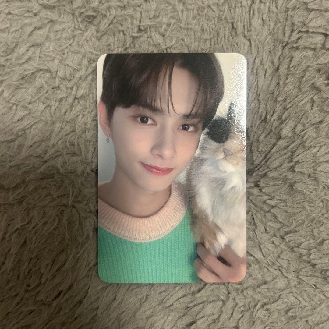 seventeen ジュン シーグリ 2020 トレカ - メルカリ