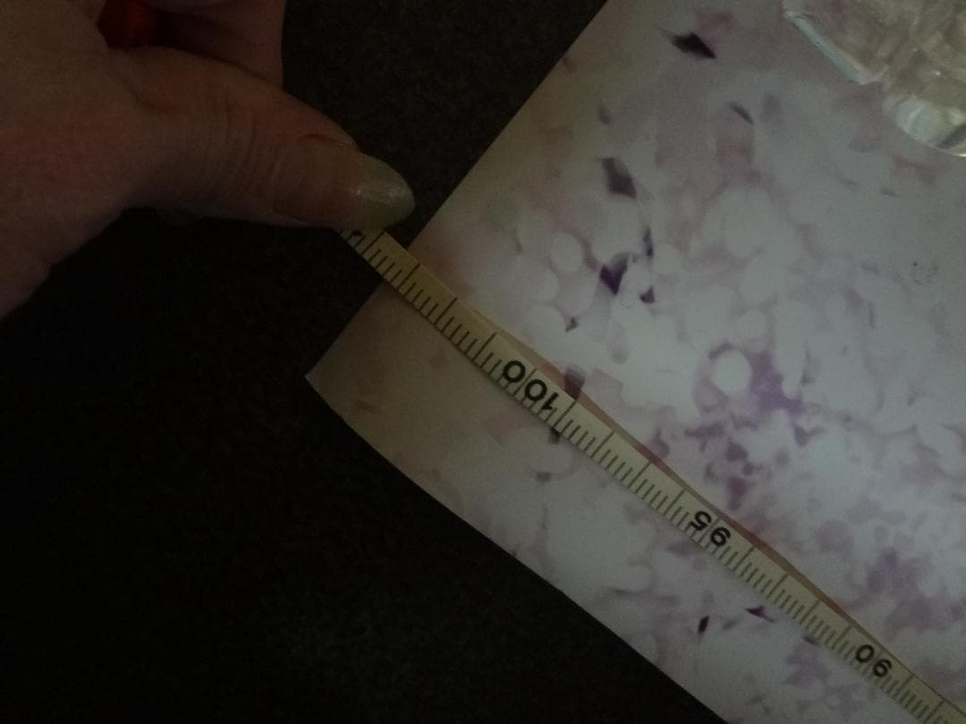 Fate/stay night      入手困難非売品ロングサイズポスター