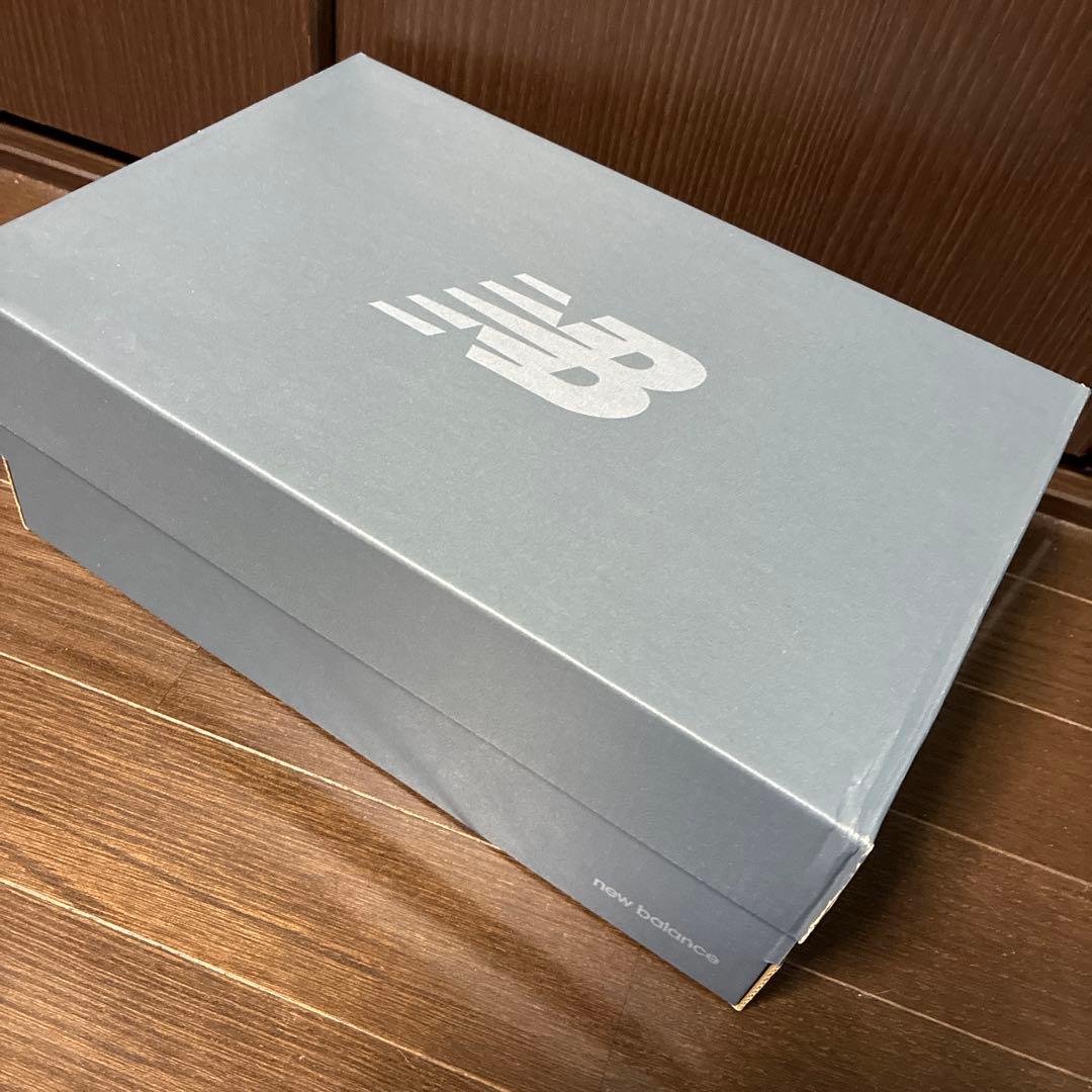 New Balance M1906REE 28.0cm ホワイト/シルバー