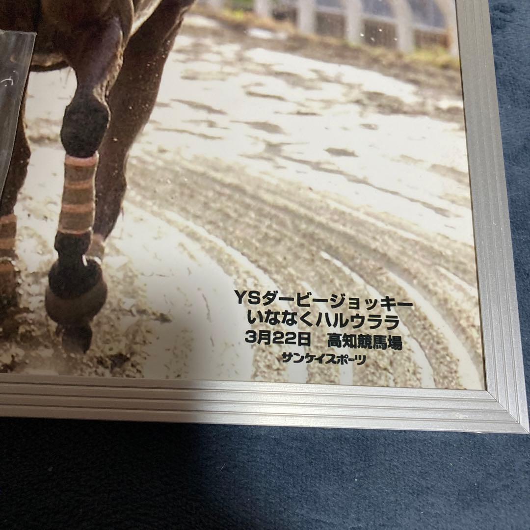 競馬】ハルウララ 武豊 単勝馬券と写真パネル - メルカリ