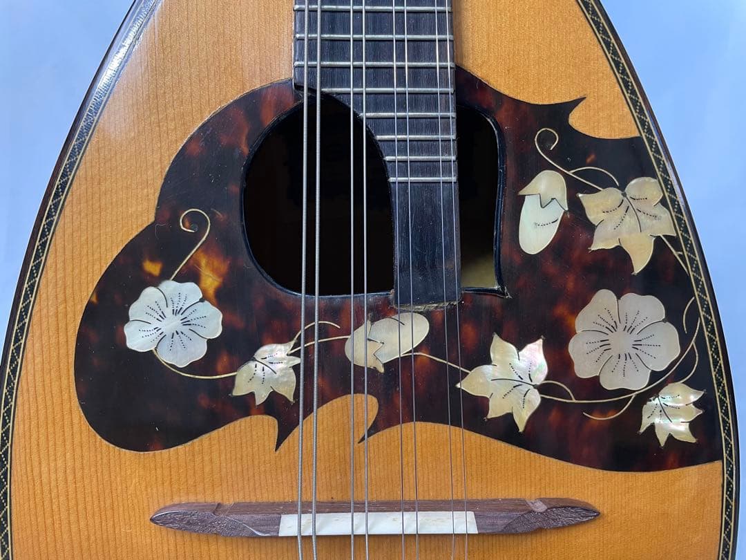 SUZUKI/スズキ マンドリン M-280 ハイエンドジャパンビンテージ - メルカリ