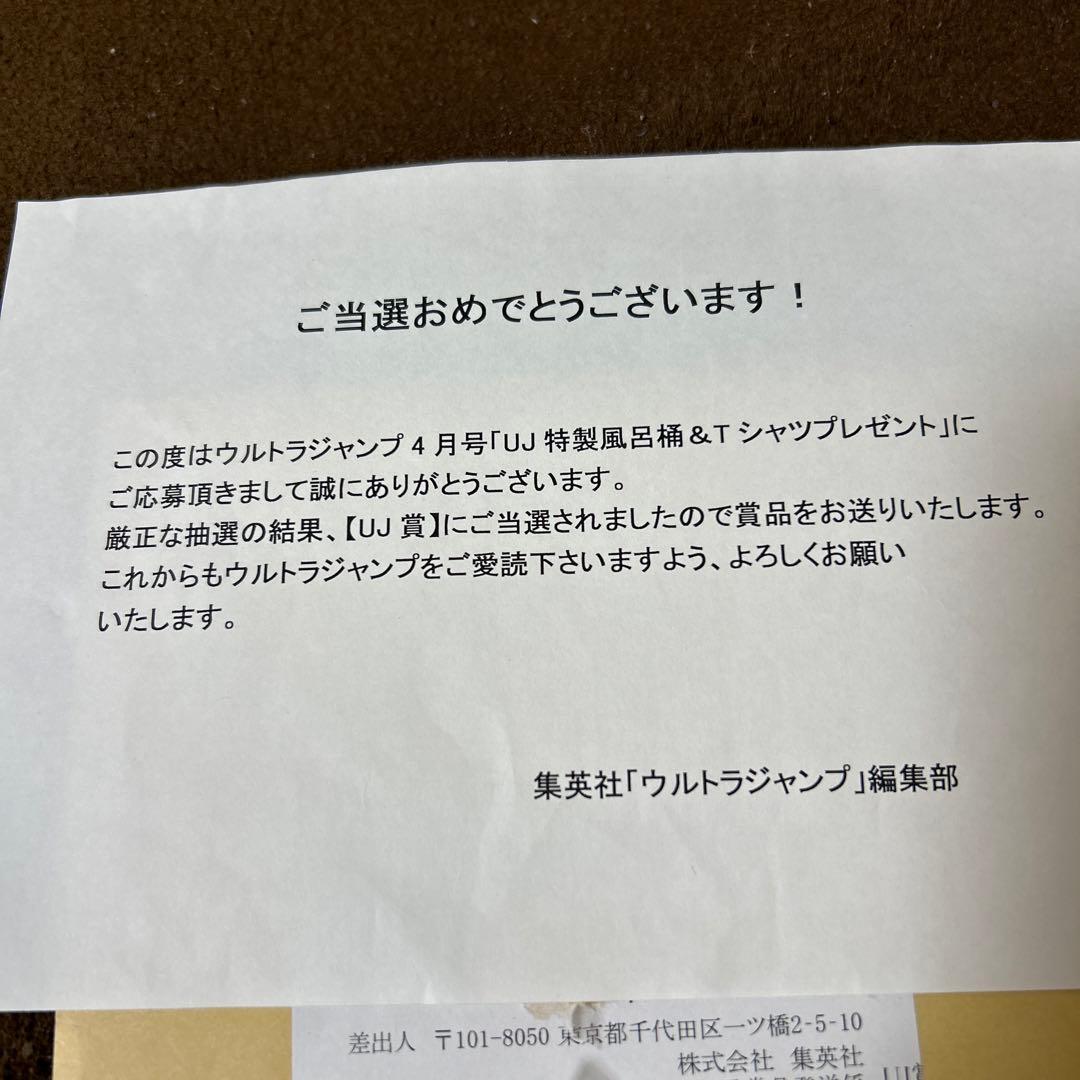 空条承太郎 缶バッジ ジョジョの奇妙な冒険 第三部 ウルトラジャンプ