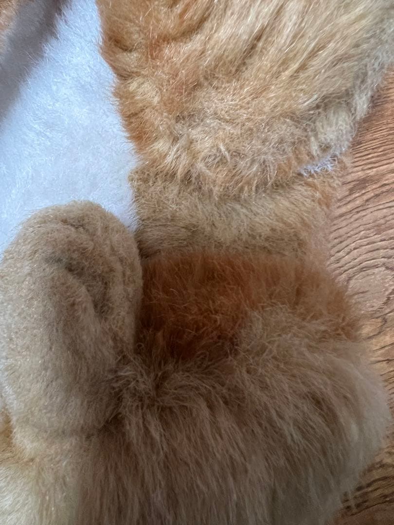 アプローズ　ぬいぐるみ　ねこ